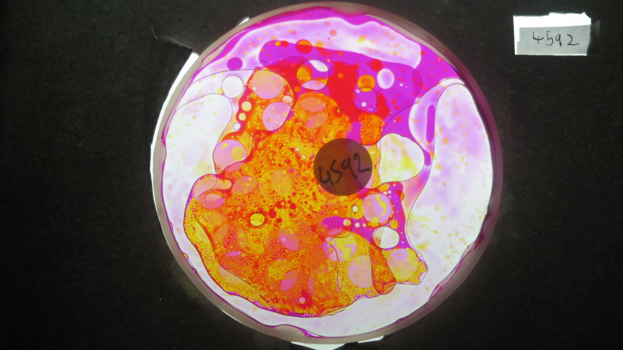 BV4592 bubble vision oil wheel